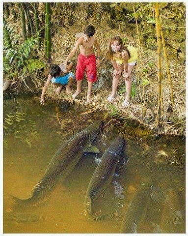 diverse - 563852_505969886091354_1921760127_n.jpg